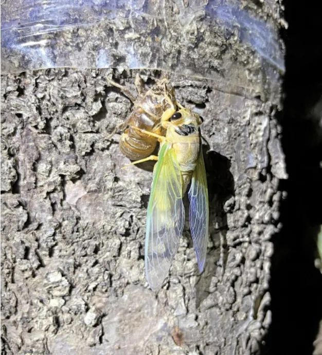 來(lái)濟(jì)南，“夏”鄉(xiāng)避暑