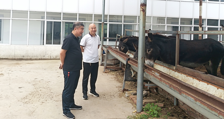 省協(xié)會(huì)參訪無(wú)極縣大峰家庭農(nóng)場(chǎng)